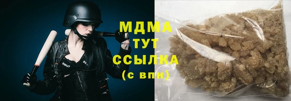 spice Богородицк